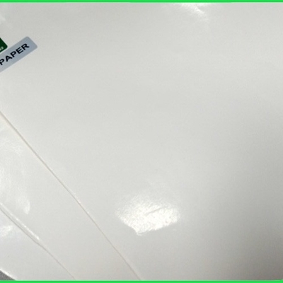 300gr 350gr Environmental Heatable PE Coated White Kraft Paper Sheet For CUp
