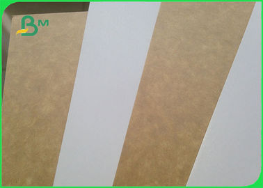 One Side Coated Surface Food Grade Paper Roll 100% Virgin Pulp Material
