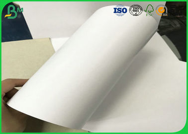 Tear Resistant 200gsm - 450gsm C1S Duplex Paper Rolls For Making Packing Box
