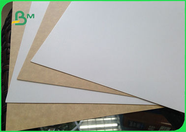 450gsm  FSC Certified Clay Coated Kraft Back Food Grade Paper Roll / White Liner Paper For Packing