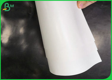 Eco - friendly White Food Grade Paper Roll , 160gsm + 10 gsm PE Coated SBS FBB Paper Roll For Food Packages