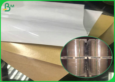 Jumbo Roll PE Coated One Side Brown / White Kraft Paper For Food Packing