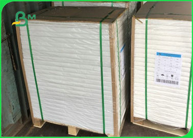 Oil Proof PE Coated Paper / White Kraft Paper Coils For Food Wrapping