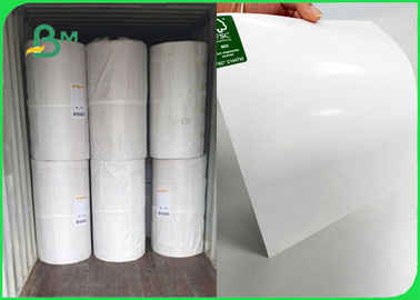 100gsm White Kraft Paper With 10gsm Oil Resistant PE Bleached Kraft Paper In Roll