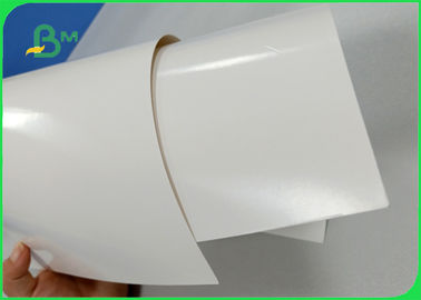 Width 708mm 300gsm + 15g PE CIS Ivory Board Poly Coated Paper For Lunch Box