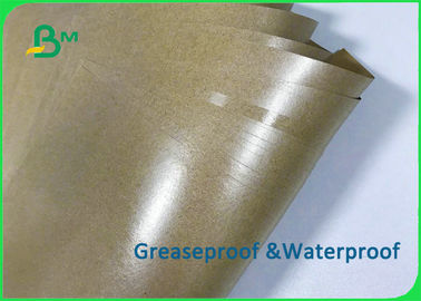 FDA Food Grade 80gsm + 15g PE Film Coated Wrapping Paper For Food Packages