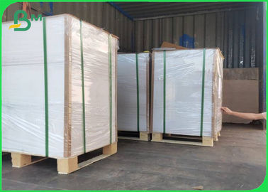 350gsm Take Out Food Container Paper Board FDA 15gr PE Sheet / Roll