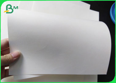 PE Coated White Carton Base Paper For Coffee Cups 170 - 300gsm