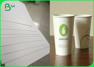 Fully Renewable Cupstock Paper Rolls Coated Polyethylene 180g + 10gsm