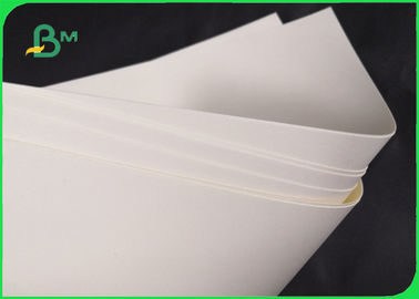 Biodegradable 190gsm 210gsm Cupstock Base Paper For Food Bowl 720MM 860MM