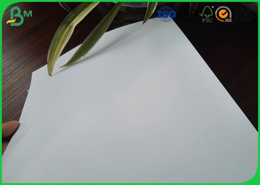 pulp board paper