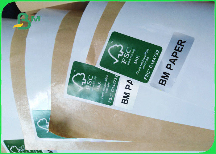 PE Coated Paper 60 460gsm Waterproof Oil Proof Reel White & Brown