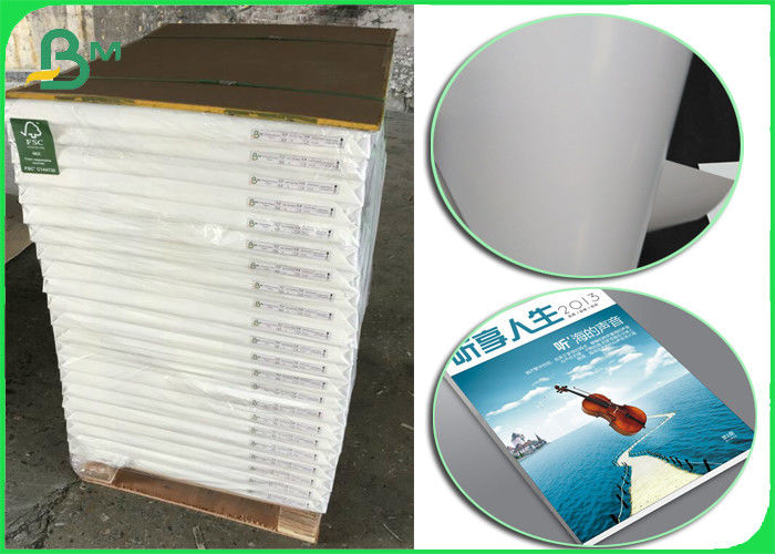 Fsc Printing Paper 135gr Glossy Coated Couche Paper 42 Jumbo Roll
