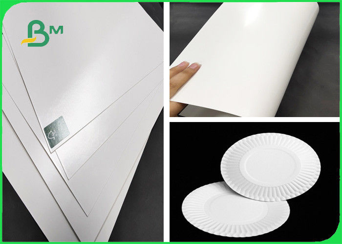 coated paper plates