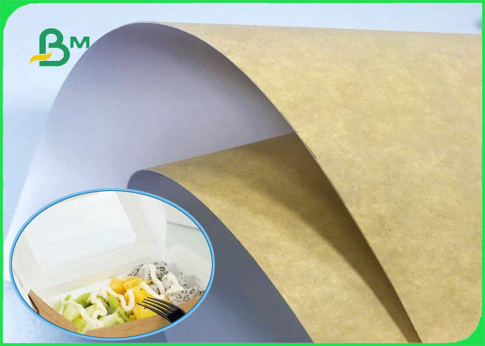 250GSM 360GSM 650mm * 889mm Food Grade White Top Kraft Liner Paper