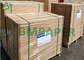 High Bulky Paper white Uncoated 65gsm 0.12mm Thickness 31&quot; 35&quot; 43&quot; 47&quot; Width