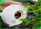 100% Compostable 60gsm 120gsm Food Grade Kraft Paper For Biodegradable Straws