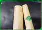 100% Biodegradable 40gsm 50gsm 60gsm PE Coated Food Grade Paper Roll For Food Wrapping