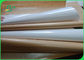 31 - 98 Inches Food Grade Paper Roll / Oil Proof Brown Or White PE Coated Kraft Paper For Packaging