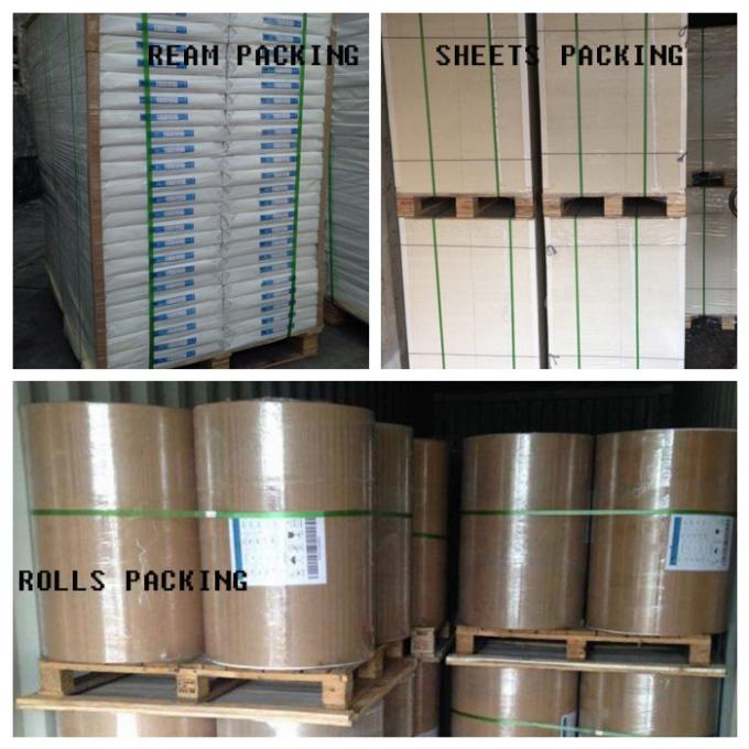 FSC / FDA Approved One Side Coated White Kraft Paper 35 / 40GSM In Sheets