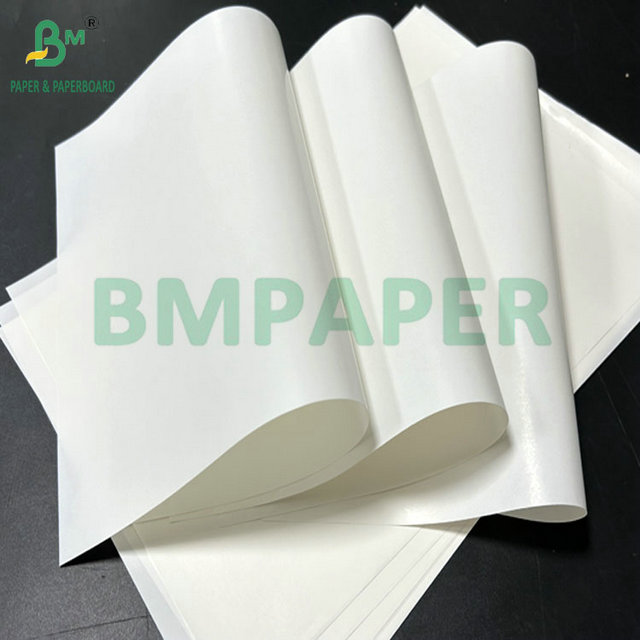 65Gram Coating Single Side Beer Bottle Label Paper For Printing 61cm ...