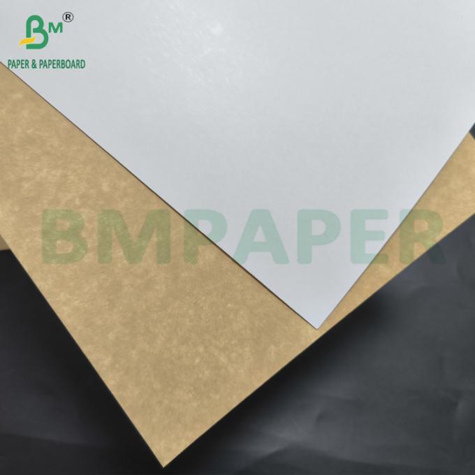 Food Grade CCKB Paperboard 270gsm One Side Coated Kraftback Board