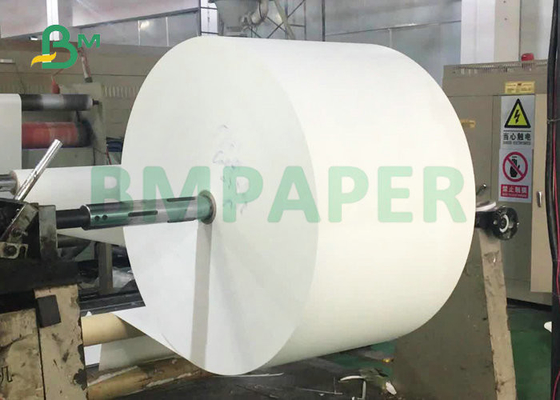 230gsm 250gsm White Cup Stock Paper Roll Poly 1 Side Laminated Cardboard