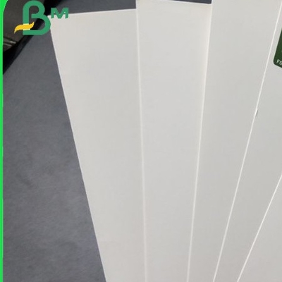 600mm - 1200mm Roll Width Food Grade Ivory Board Anti-Curl