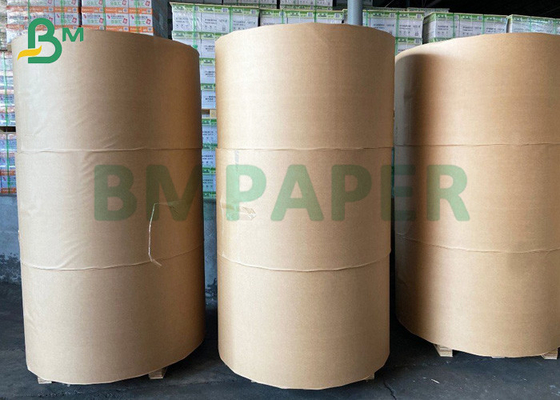 Single PE Coated Cupstock Paper GSM 220g 260g Rolls 910mm Width