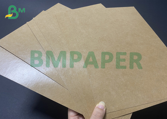 300gsm Kraft Paper Food Box PE Coated 15g 18g Sheet Roll Custom