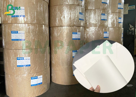 Jumbo Roll 190gsm 210gsm Uncoated Cup Stock Based Paperboard For Disposable Paper Cup