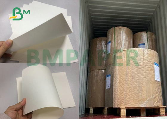 700 X 1000mm Uncoated 210gsm 230gsm White Cupstock Base Paper Sheet For Paper Cups