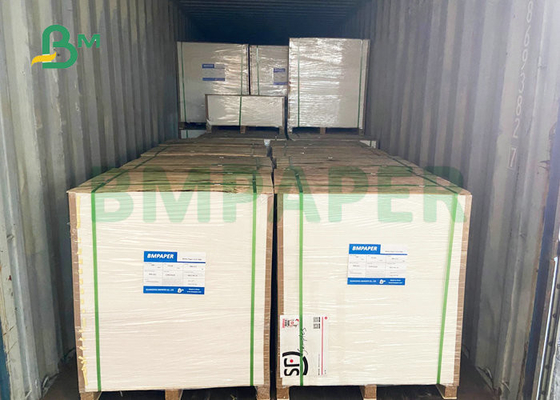 Single Side Coated 325GSM White Food Board 29 x 18" For Bakery Boxes