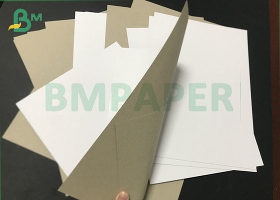 Jumbo rolls CCNB Claycoat 300gsm 450gsm Duplex Paper Board for packing