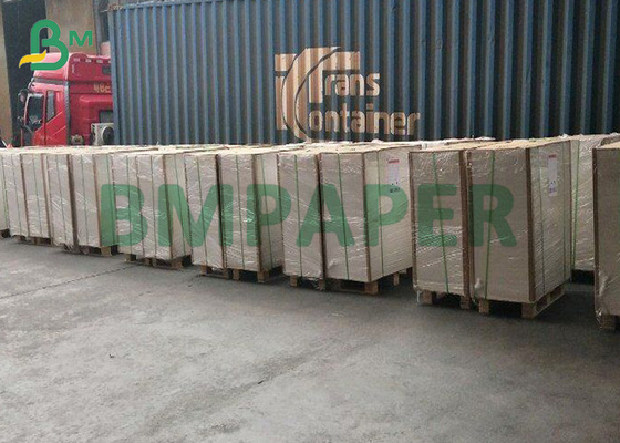 300g + 20g PE Single Side Coated Food Grade White Cup Stock Paper