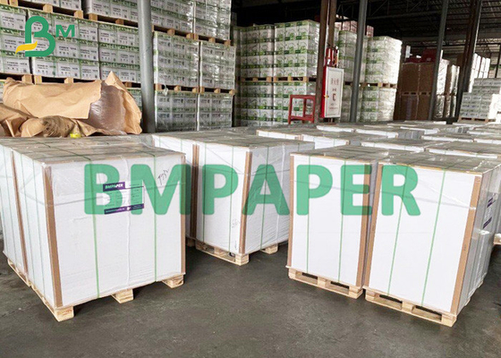 White Single Sided Coated Container Board For Frozen Food Package