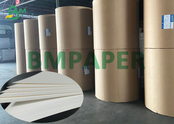 255g Virgin Wood Pulp White Paper SBS / C1S Card Board For Packaging Boxes