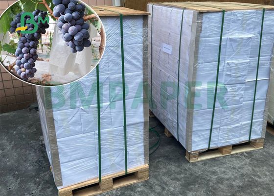 120gsm 144gsm Stone Waterproof Paper For Grape Protection Bag 300 x 350mm