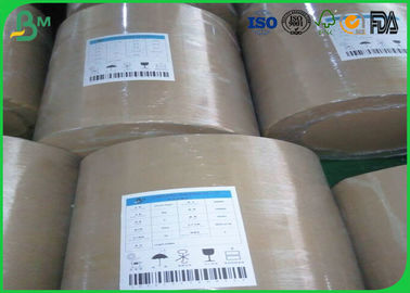 FBB Ivory Cardboard Paper Roll One Side Coated White 300gsm 350gsm With Good Flatness
