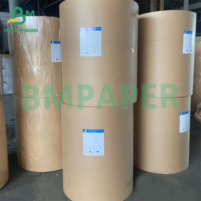 Recycled Fibers Sugar Cane Versus Wood Pulp Sugarcane Paper For Making Cup