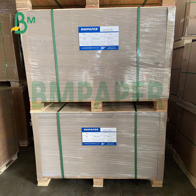 250gsm 270gsm One side coated Food Board for Frozen Food Packing Box