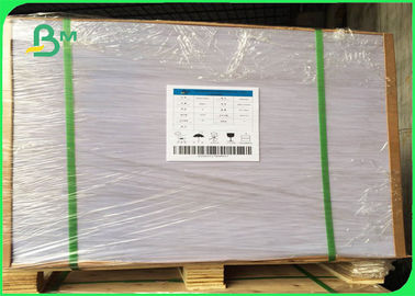 70gsm / 80gsm / 100gsm Bond Paper In Jumbo Roll Uncoated Book Paper