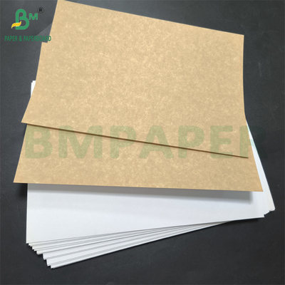 Food Grade CCKB Paperboard 270gsm One Side Coated Kraftback Board