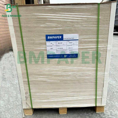 350gsm CKB White Surface Brown Kraft Back Paper For Salad Boxes 25'' x 38''