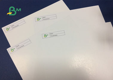 One Side Coated Glossy Ivory Board Paper in Roll 160gsm - 500gsm Thickness