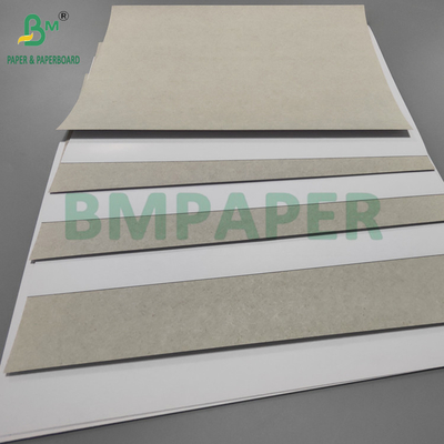 190gsm 200gsm Duplex Board Paper For Postcard Excellent Printing 18 x 24inch