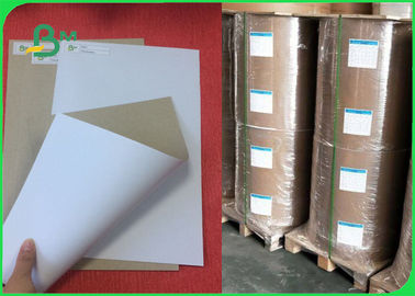 Wrapping Paper 300 GSM Coated Carton Duplex Board With Grey Back