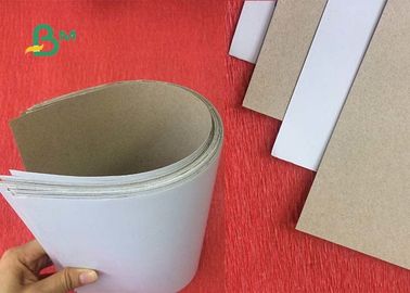 Coated 300gsm Thickness Duplex Board Sheet / Roll For Hangtags