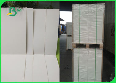 300GSM Bleached Cardboard Paper Roll / C1S Coated Paper For High End Packaging