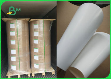 White Coated Rigid SBS Paper Board GC1 Board 250gram for Packaging